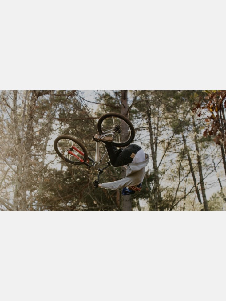 DH / Dirt